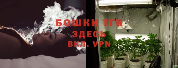 эйфоретик Ельня